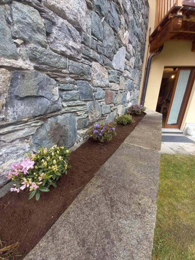 Punta Vittoria Sub 14 - Residence Anderbatt Gressoney - 3 Locali - Cir N 0010 Staval Buitenkant foto